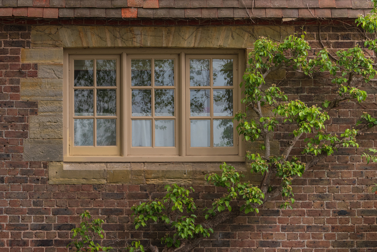 Brown timber casement windows surrounded by foliage on an English property